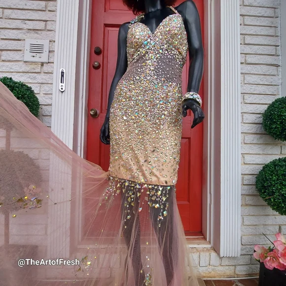 Prom Pageant Homecoming Dress - Picture 3 of 16